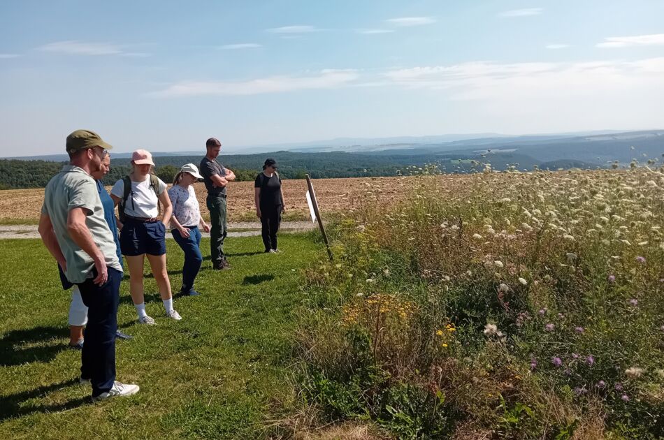 Eine Exkursionsgruppe blickt auf einen blühenden Feldrain in Schierschwende