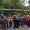 Wildtierland Hainich gGmbH