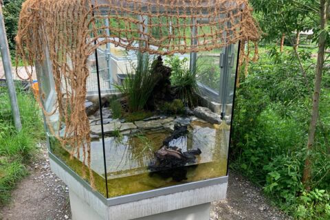 Sechseckiges Schauterrarium auf Betonsockel mit Wasser- und Landteil im Wildkatzendorf Hütscheroda