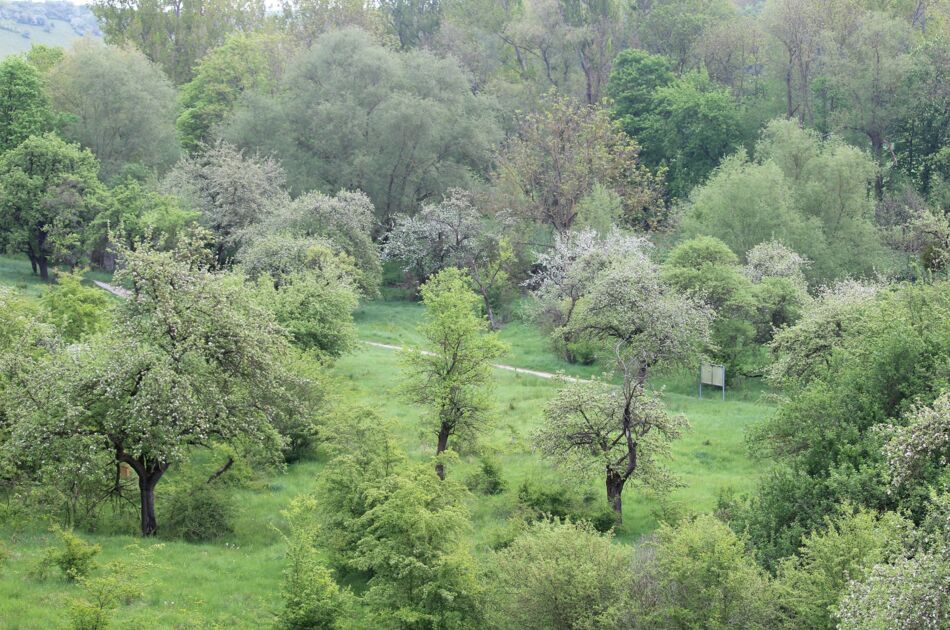 Blick auf das Unstruttal zwischen Nägelstädt und Großvargula