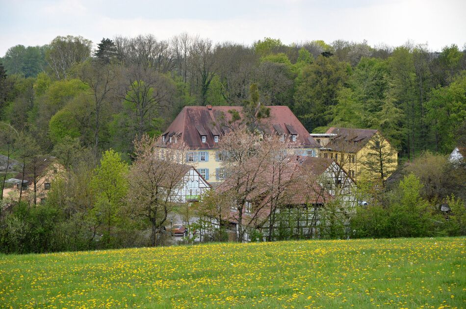 Blick auf Hütscheroda mit den Fachwerkhäusern Herrenhaus und Wildkatzenscheune, im Vordergrund blühende Wiese, im Hintergrund der Hainich