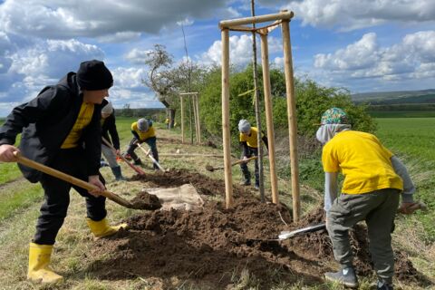 Fünf Grundschüler helfen beim Pflanzen von Bäumen an einem Feldrand