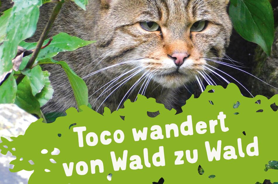 Cover Wildkatzendorf-Minibuch