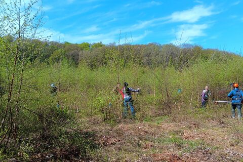 Im Moor Hanfsee sind viele Helfer zum Pflegeeinsatz aktiv