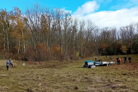 Blick auf die gemähte Binsenwiese, wo die Forstraupe das Mahgut abtransportiert