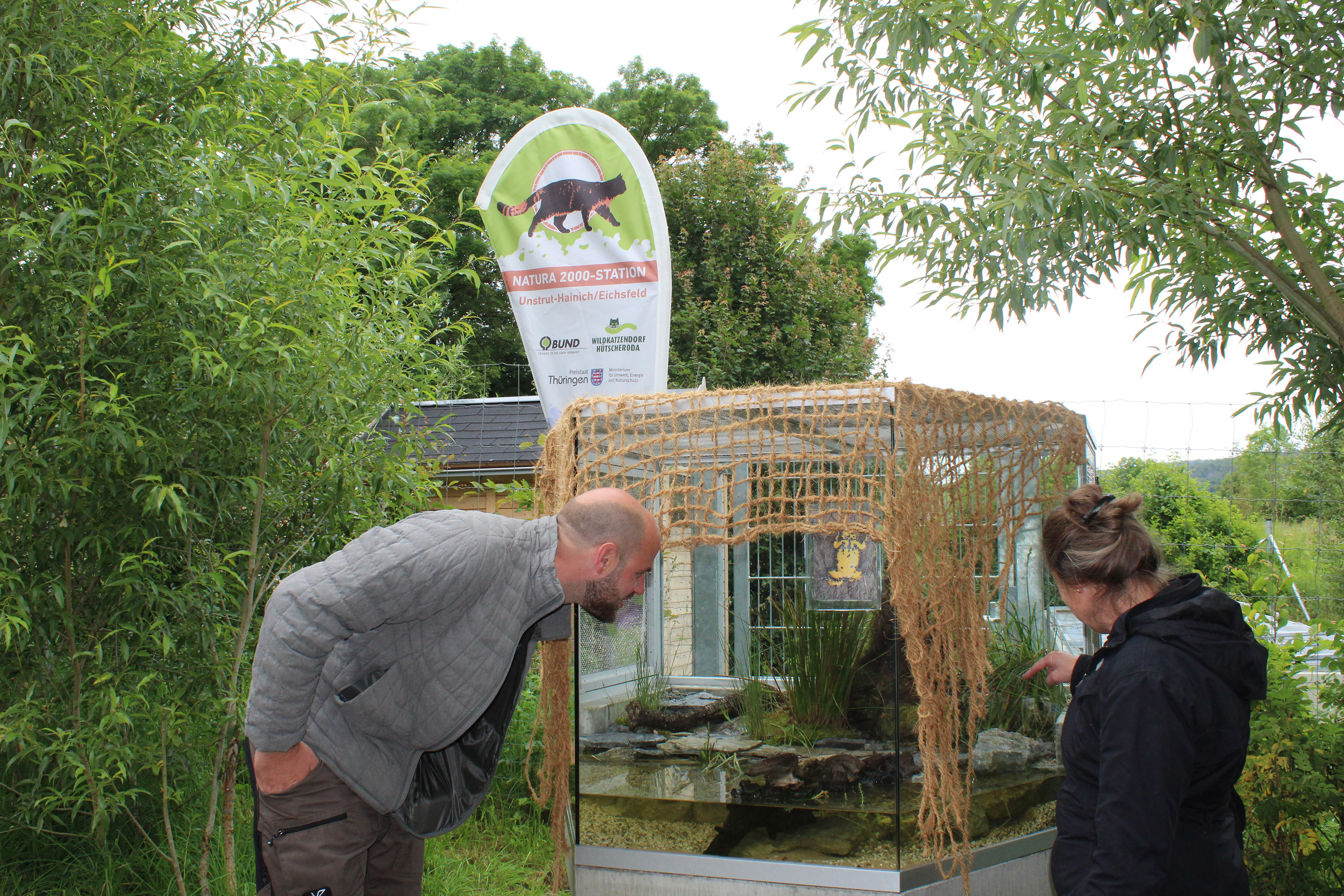 Referent Martin Burmeister und Geschäftsführerin Dr. Katrin Vogel beobachten Gelbbauchunken im neuen Schauterrarium des Wildkatzendorfes Hütscheroda