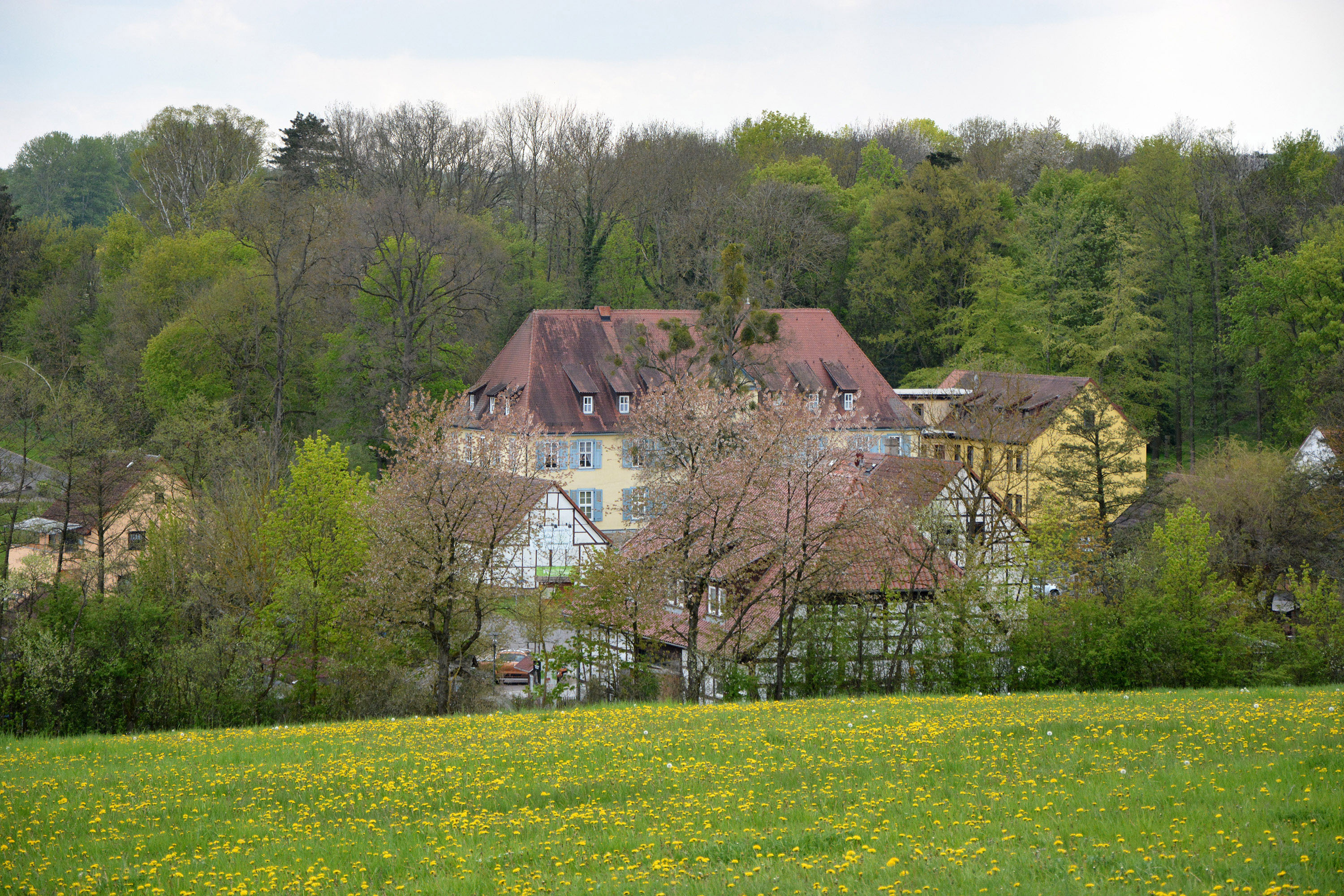 Blick auf Hütscheroda mit den Fachwerkhäusern Herrenhaus und Wildkatzenscheune, im Vordergrund blühende Wiese, im Hintergrund der Hainich